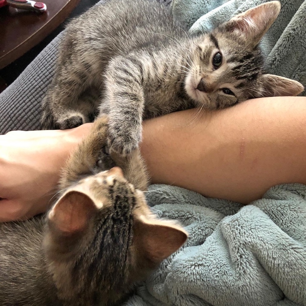 Meet your Posher, Nathan